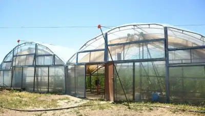 Самат Мырзалиев, фото - Новости Zakon.kz от 01.06.2018 16:07