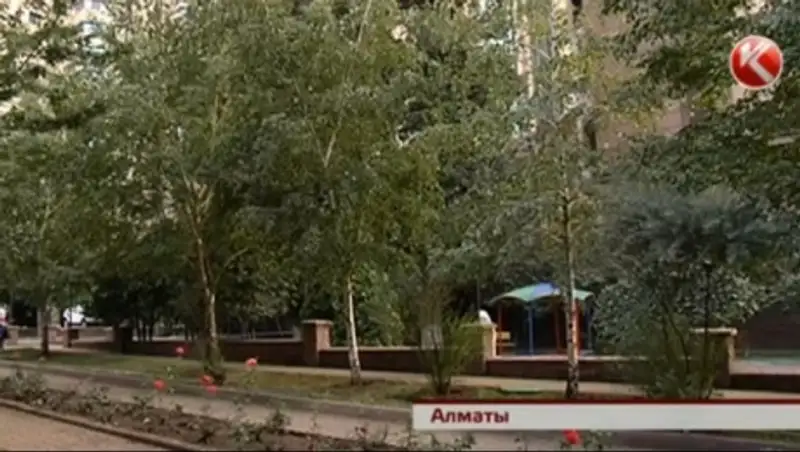 Новый проект может обернуться вырубкой деревьев в Алматы