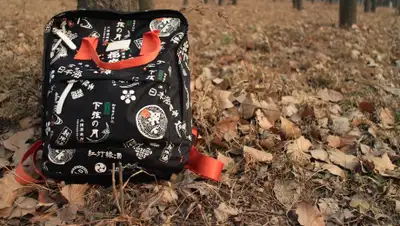 Pixabay, фото - Новости Zakon.kz от 19.10.2019 07:56