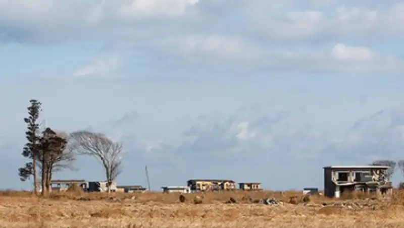 В районе японской АЭС «Фукусима-1» начался мощный лесной пожар