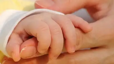 Zakon.kz, фото - Новости Zakon.kz от 07.11.2014 21:58