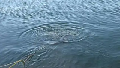 из открытых источников., фото - Новости Zakon.kz от 05.07.2021 01:15