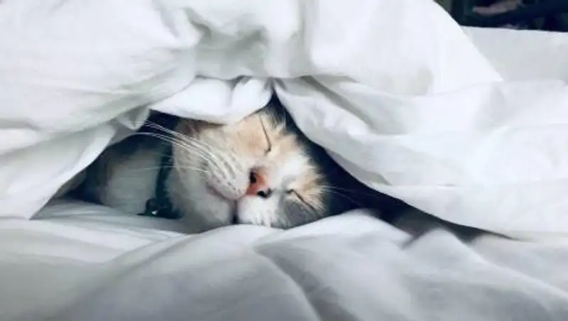 Как нужно спать без вреда для спины