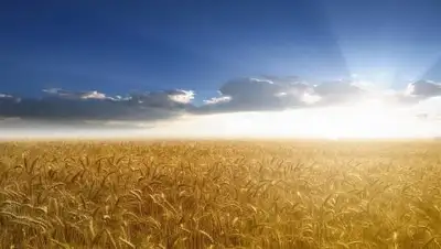 Zakon.kz, фото - Новости Zakon.kz от 03.06.2016 20:30