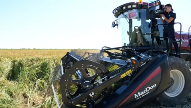 В Кызылорде готовятся к празднику сбора урожая