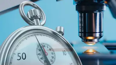 pixabay, фото - Новости Zakon.kz от 09.11.2021 21:13