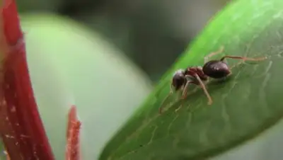 Zakon.kz, фото - Новости Zakon.kz от 28.07.2016 14:40