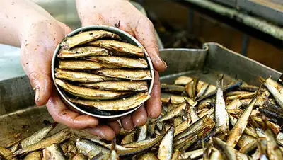 Zakon.kz, фото - Новости Zakon.kz от 18.07.2014 23:38