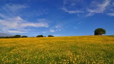 pixnio.com, фото - Новости Zakon.kz от 24.06.2021 13:24