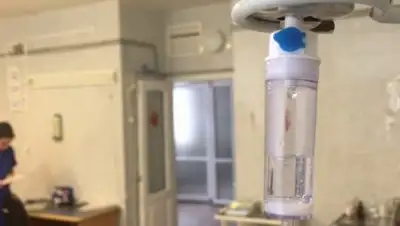 alau.kz, фото - Новости Zakon.kz от 04.05.2018 18:50