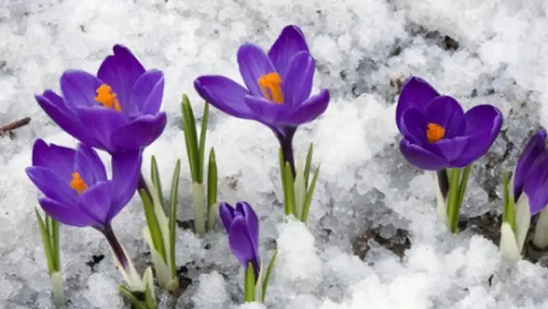 В пятницу под влиянием антициклона в Казахстане сохранится погода без осадков