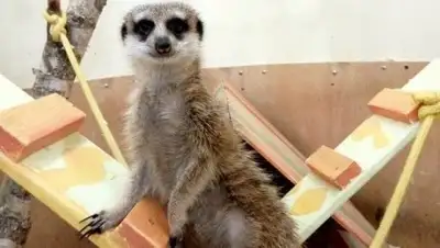 Zakon.kz, фото - Новости Zakon.kz от 20.11.2016 05:26