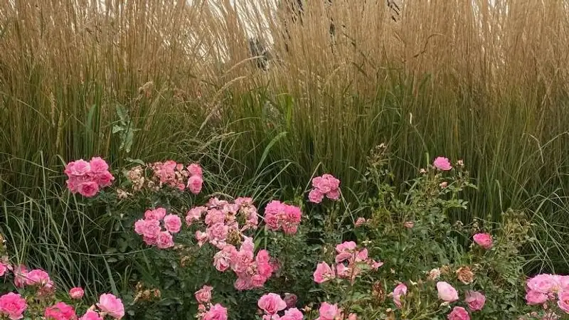Какой будет погода в Астане, Алматы и Шымкенте в ближайшие три дня