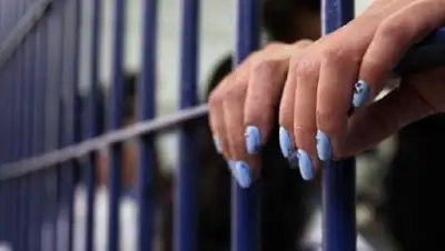 Zakon.kz, фото - Новости Zakon.kz от 26.12.2016 23:01