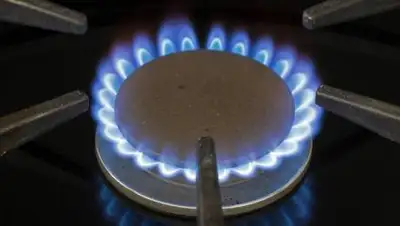 insideclimatenews.org, фото - Новости Zakon.kz от 02.06.2021 21:22