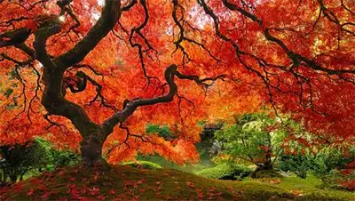 Zakon.kz, фото - Новости Zakon.kz от 26.09.2014 19:15