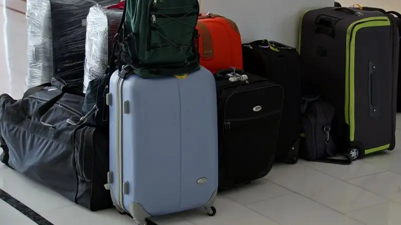 Сколько россиян получили разрешение для работы в Казахстане