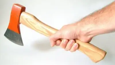 Delfi, фото - Новости Zakon.kz от 03.08.2018 17:24