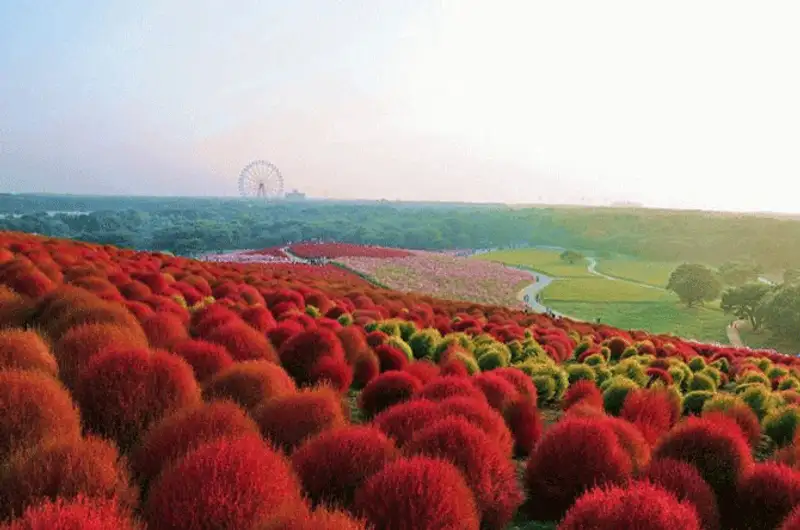 27 мест, которые нужно увидеть своими глазами 27 мест, которые нужно увидеть своими глазами, фото - Новости Zakon.kz от 08.12.2013 17:25