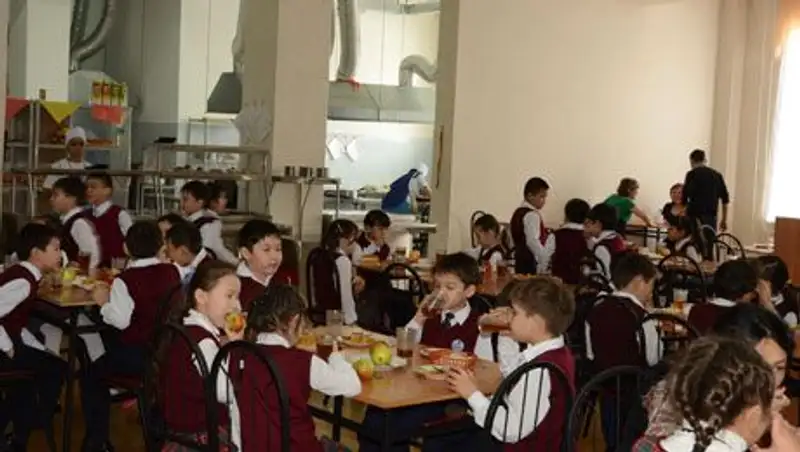Минобразования введет правила организации школьного питания до начала нового учебного года