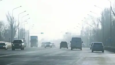 "Сергек – Патруль" в деле: сколько алматинцев нарушили ПДД, фото - Новости Zakon.kz от 02.02.2023 13:40