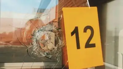 @tipav1o, фото - Новости Zakon.kz от 31.10.2019 16:27