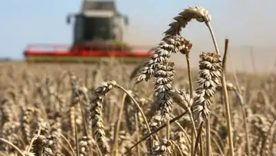 Zakon.kz, фото - Новости Zakon.kz от 08.06.2016 19:09