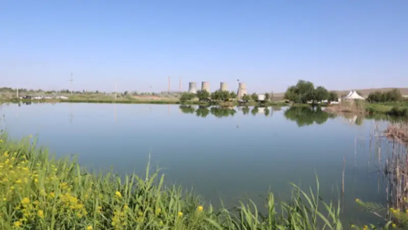 Увеличить производство товарной рыбы до 3500 тонн планируют в Жамбылской области