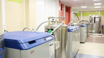 КФУ, фото - Новости Zakon.kz от 07.11.2018 13:00