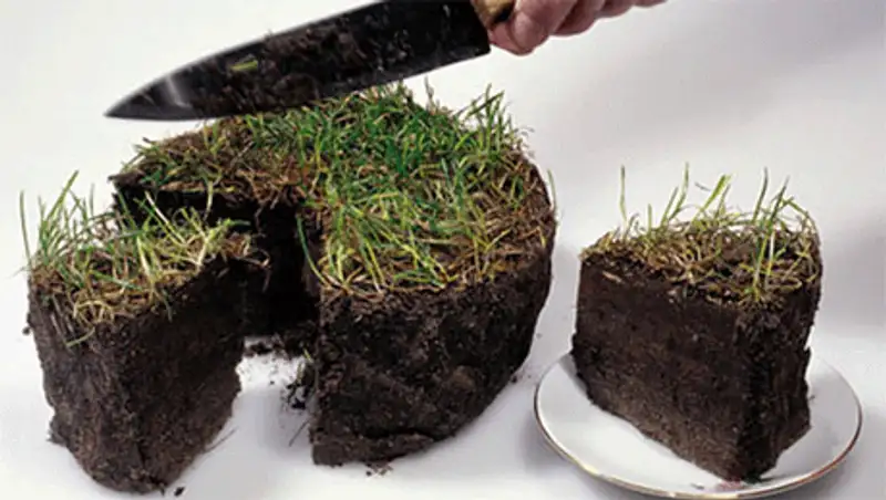 Начальник ГУ «Городской отдел земельных отношений» Атырау поделил неделимое