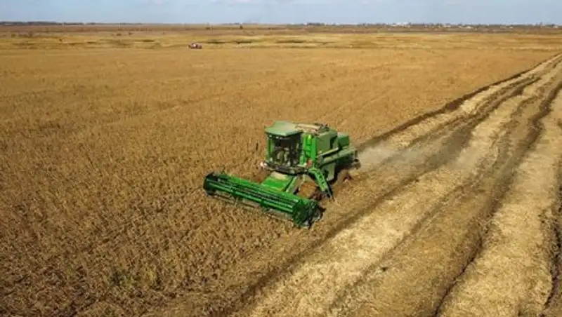 В Костанайской области создадут крупный современный комплекс по переработке сельхозкультур