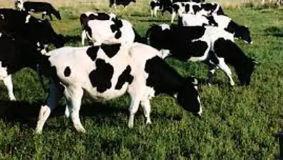 Zakon.kz, фото - Новости Zakon.kz от 18.04.2014 15:31