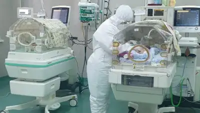 almaty.tv, фото - Новости Zakon.kz от 06.09.2020 14:06