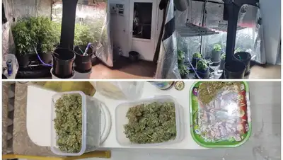 нарколабораторию ликвидировали в центре Нур-Султана, фото - Новости Zakon.kz от 21.06.2022 10:03