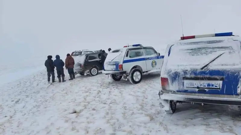 В Павлодарской области пропавшая женщина найдена мертвой в степи