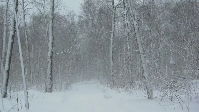 В трех областях Казахстана объявлено штормовое предупреждение