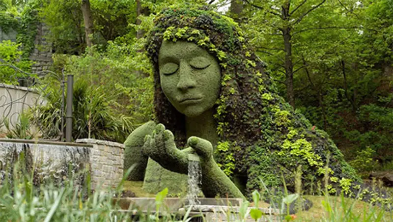 Живые гиганты из Ботанического сада Атланты