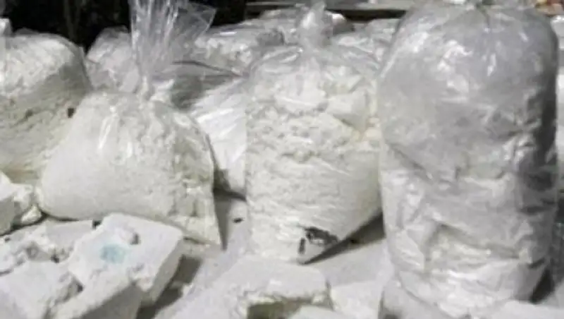 Почти 3 тонны наркотиков изъято в Алматинской области с начала года