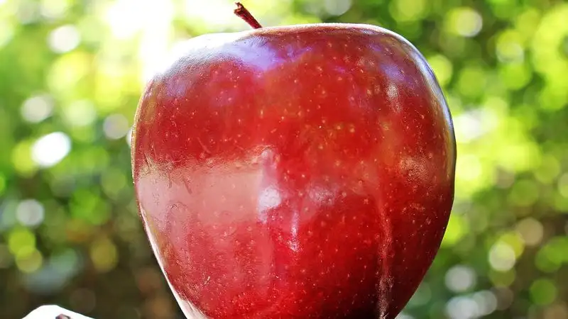 полезные фрукты, витамины, яблоко, фото - Новости Zakon.kz от 08.09.2023 10:43