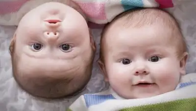 Фото с сайта aleksandrovaov.ru, фото - Новости Zakon.kz от 04.01.2018 10:17