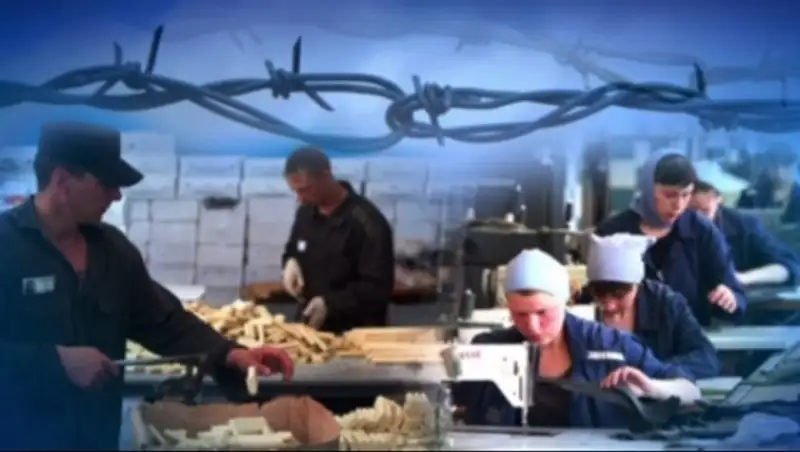 Актауские колонии расширяют производство