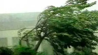 Zakon.kz, фото - Новости Zakon.kz от 23.06.2014 22:05