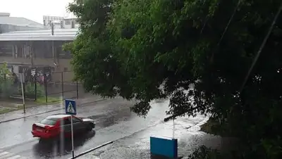 otyrar.kz, фото - Новости Zakon.kz от 19.05.2019 01:32