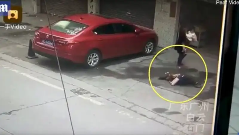 Китаянка получила сотрясение мозга из-за упавшей на нее с неба собаки