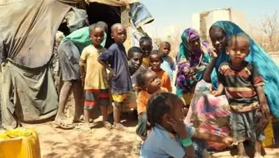 Unocha.org, фото - Новости Zakon.kz от 07.11.2020 17:43