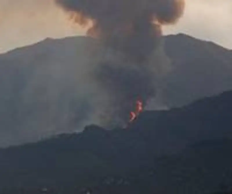 Основные очаги пожара в заповеднике близ Алматы ликвидированы - МЧС