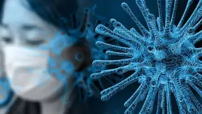 pixabay, фото - Новости Zakon.kz от 09.04.2021 08:01