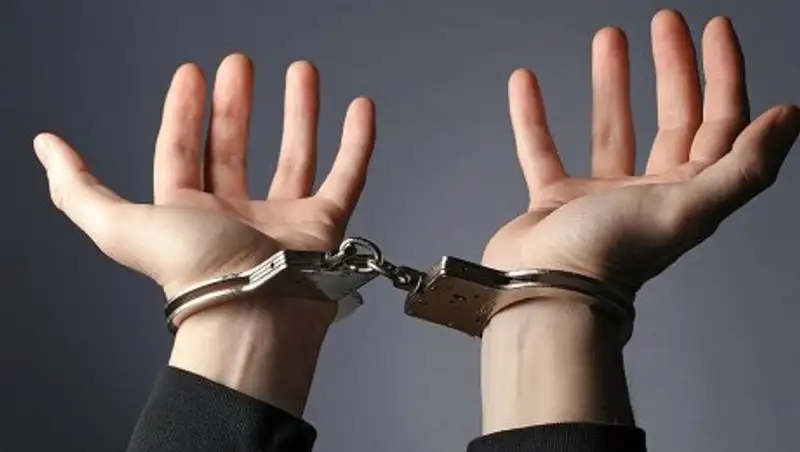 В МВД рассказали о задержании разыскиваемых преступников