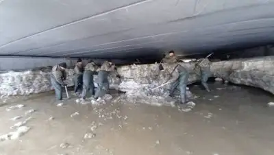 zakon.kz., фото - Новости Zakon.kz от 06.03.2021 08:28