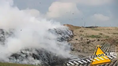 zakon.kz, фото - Новости Zakon.kz от 17.05.2019 14:27